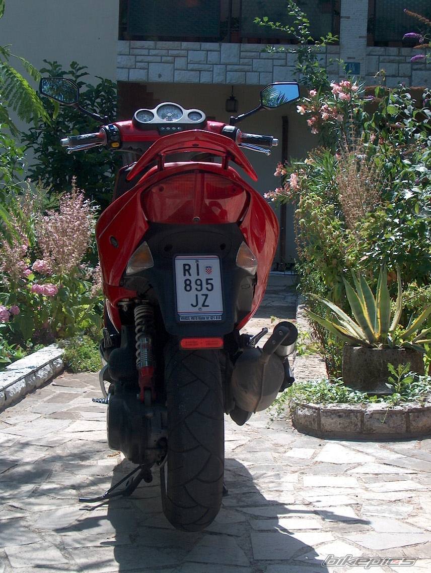 Bike Photo 313579