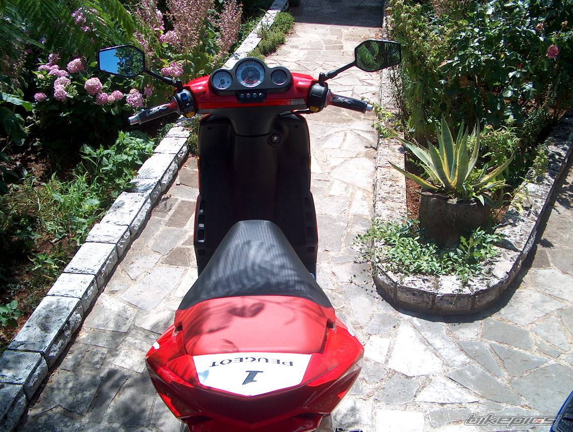 Bike Photo 313598