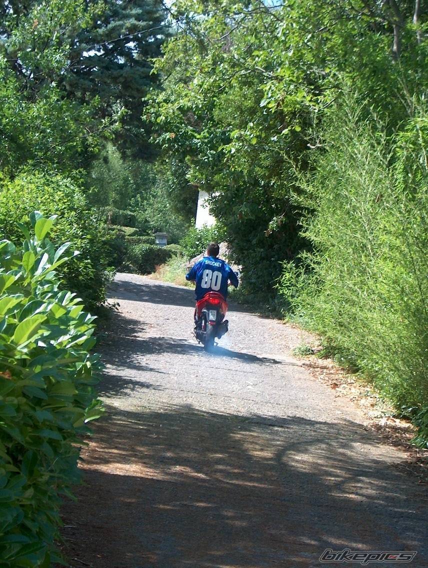 Bike Photo 313622