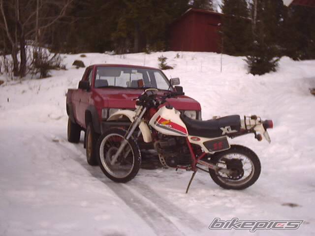 Bike Photo 313638