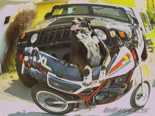 Bike Photo 313641