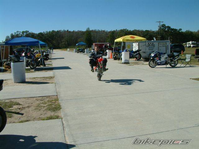 Photo 313645