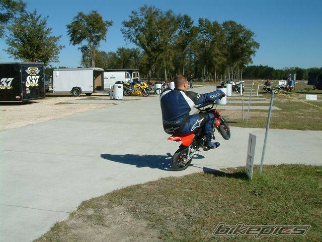 Photo 313646