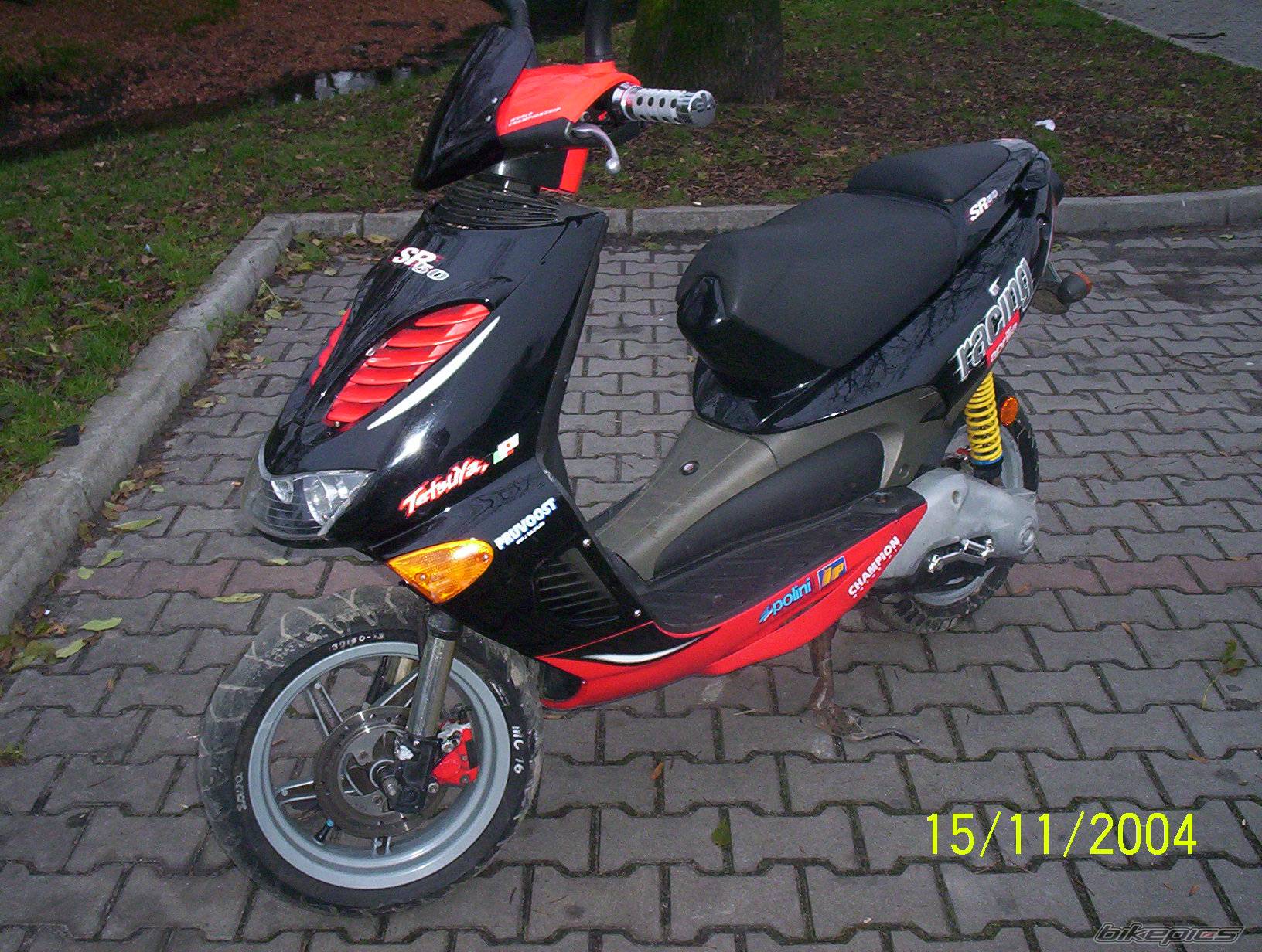 Photo 313674
