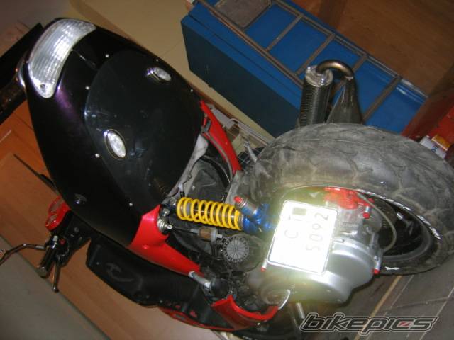 Photo 313683