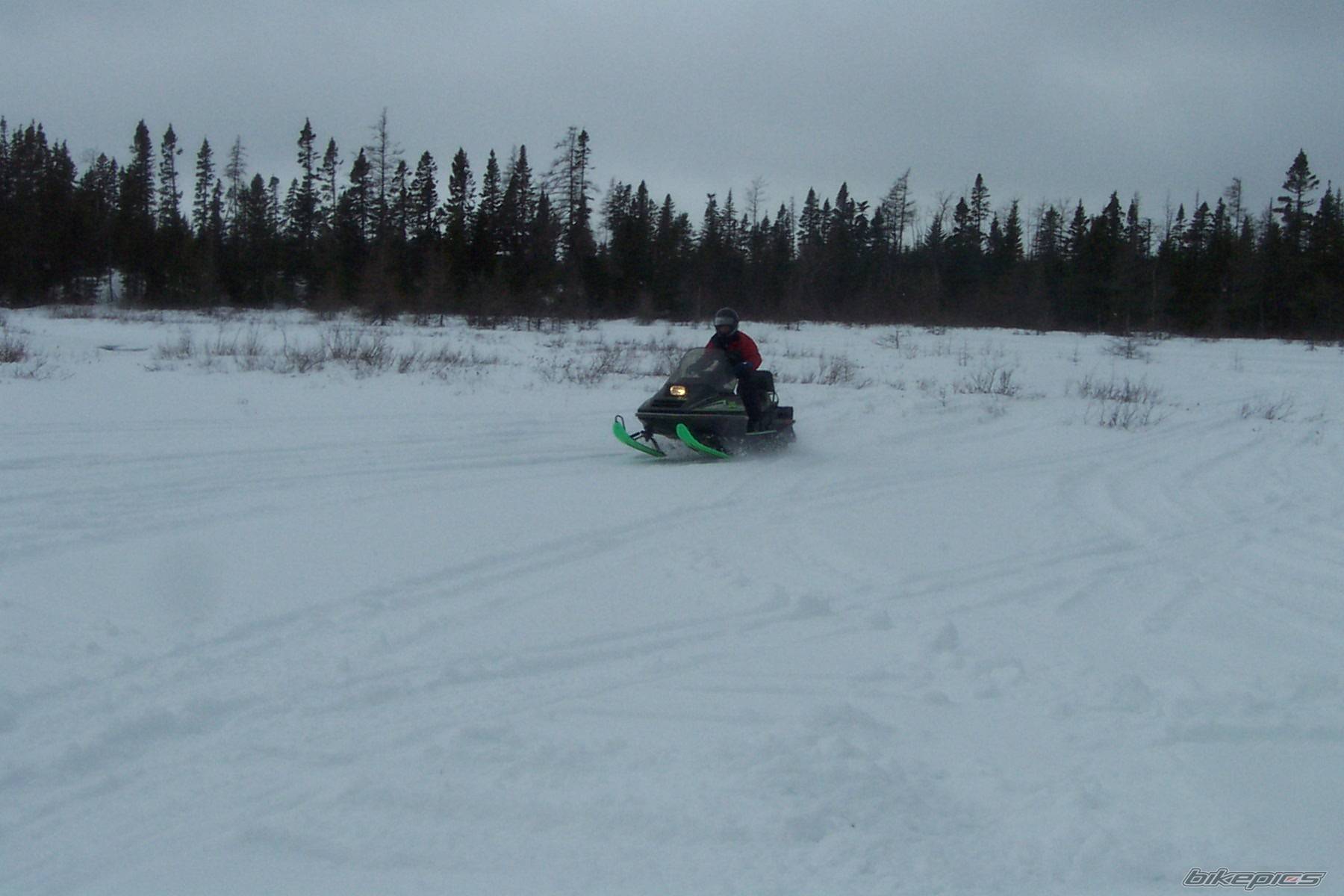 Photo 313685