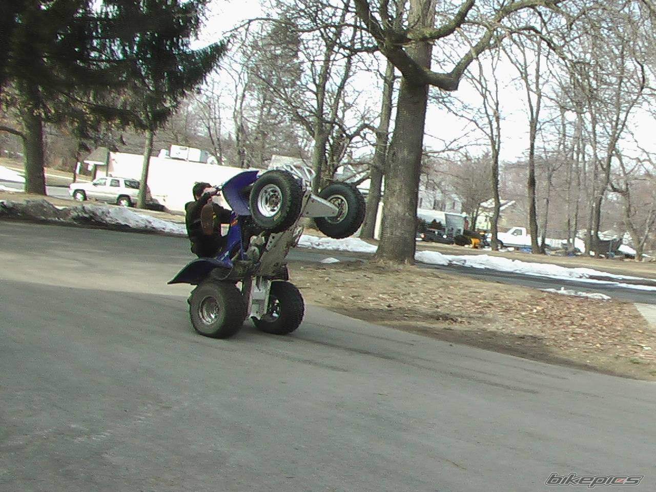 Bike Photo 313736