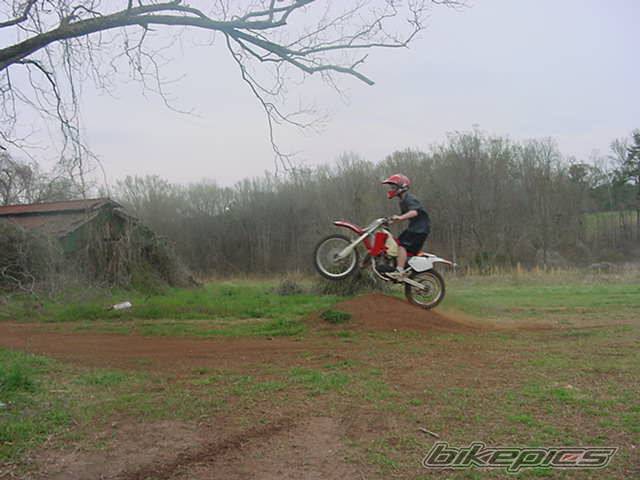 Photo 313784