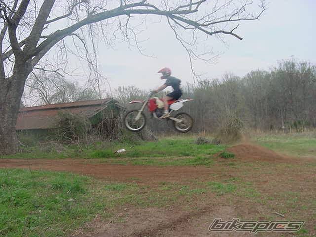 Photo 313786