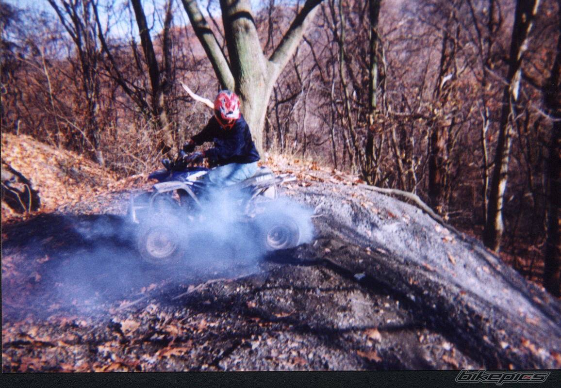 Bike Photo 31379