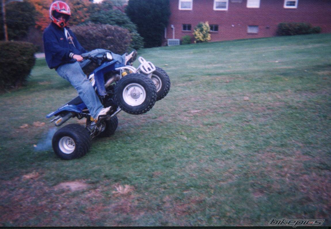 Bike Photo 31381