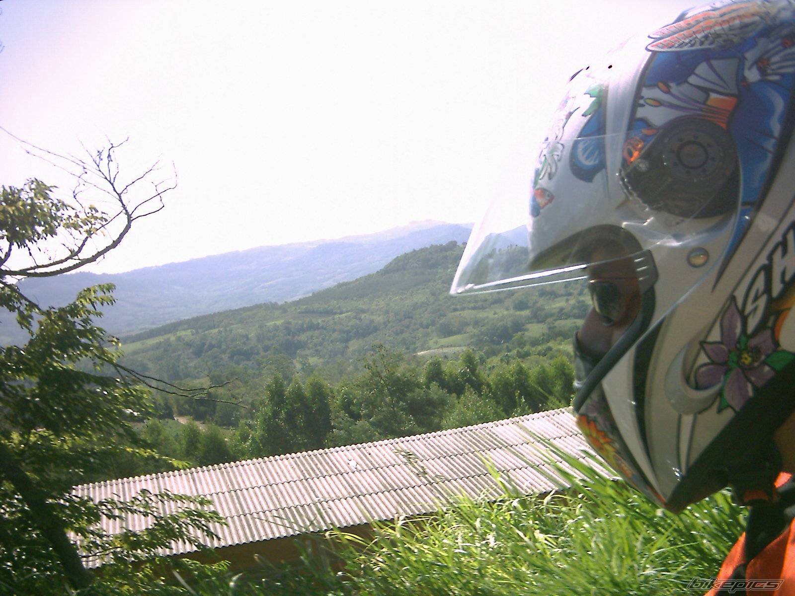 Bike Photo 313829
