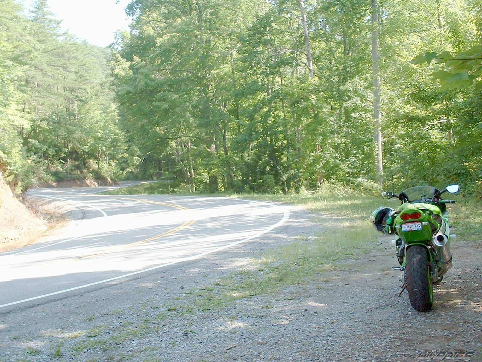 Bike Photo 313946
