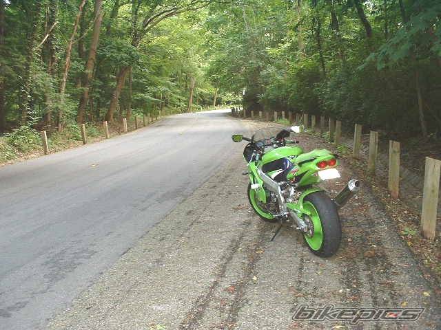 Bike Photo 313962