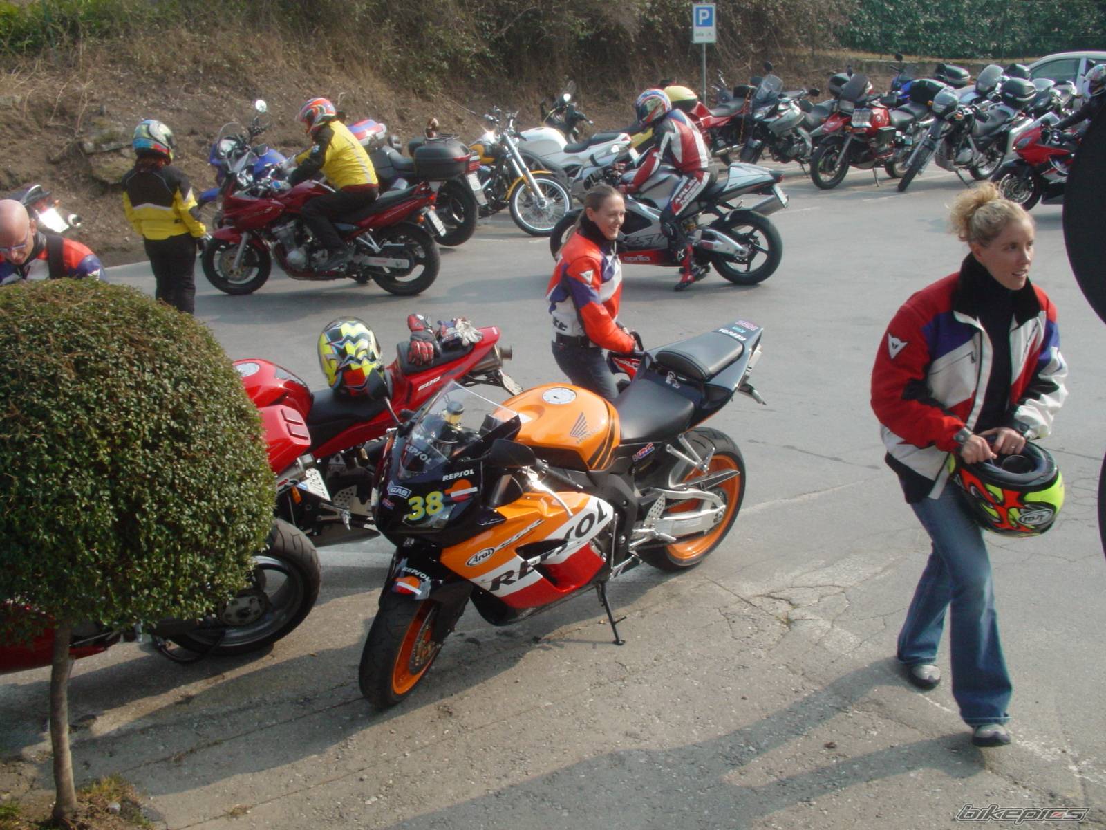 Bike Photo 313979