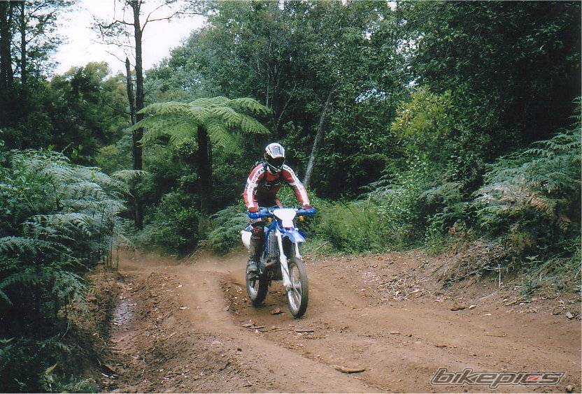 Bike Photo 314040