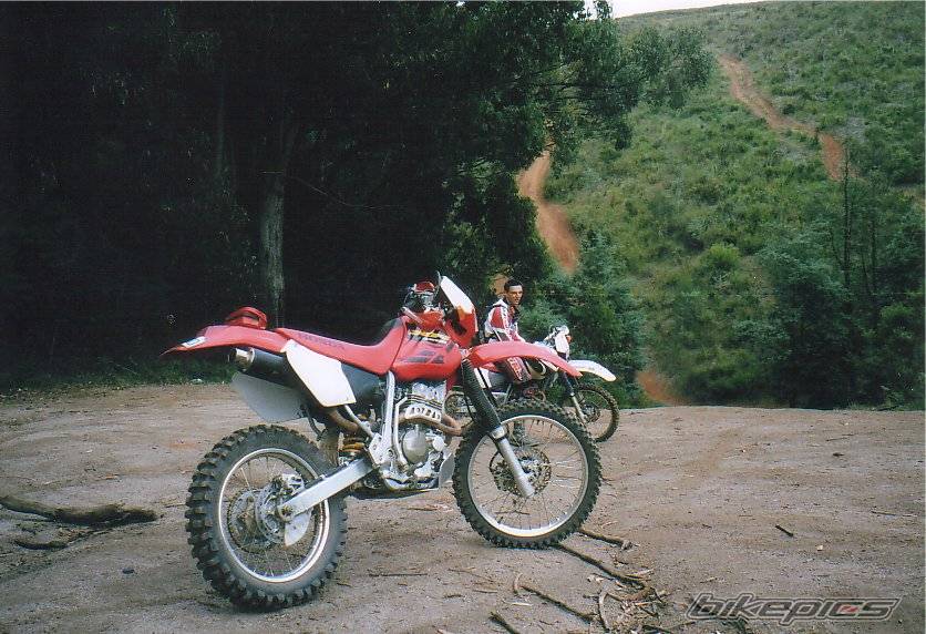 Bike Photo 314077