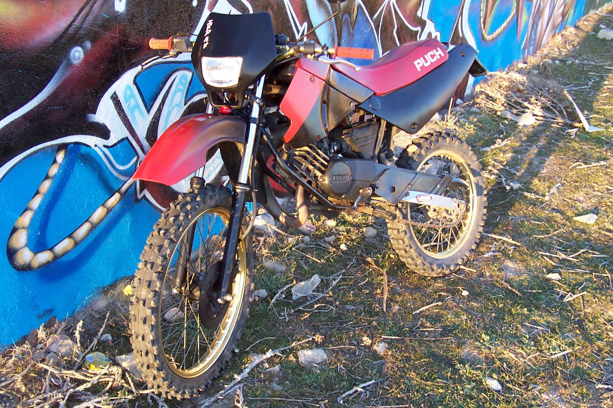 Bike Photo 314081