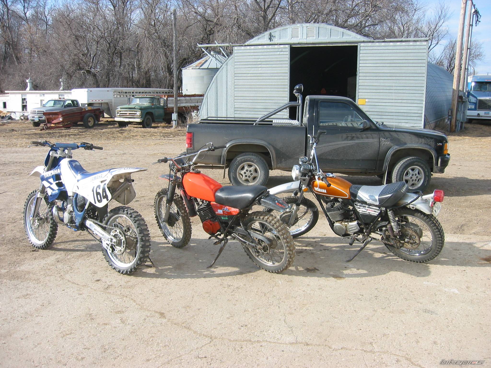 Photo 314274