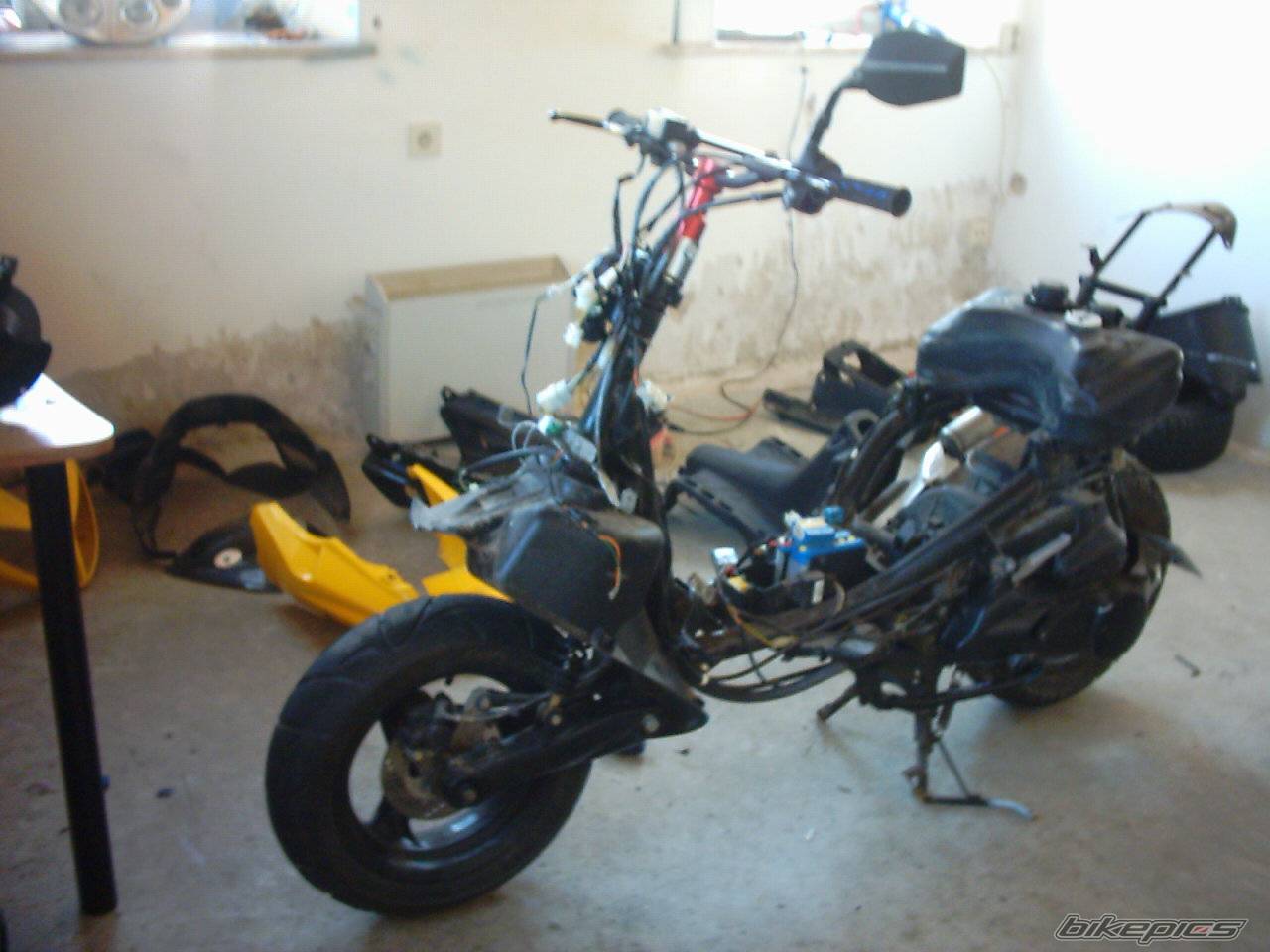 Photo 314528