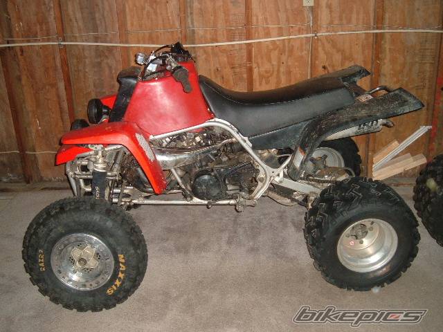 Bike Photo 314601
