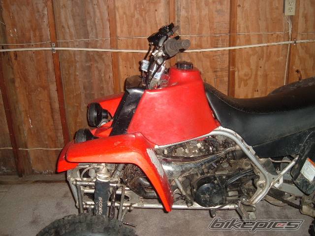 Photo 314604