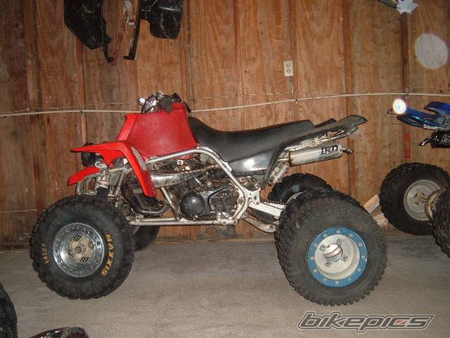 Photo 314610