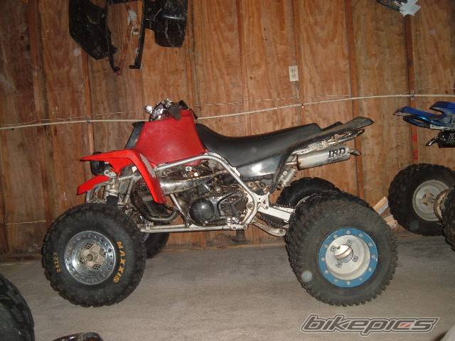 Photo 314611