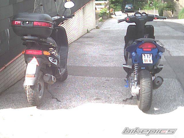 Photo 31465