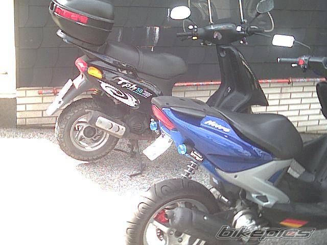 Photo 31466