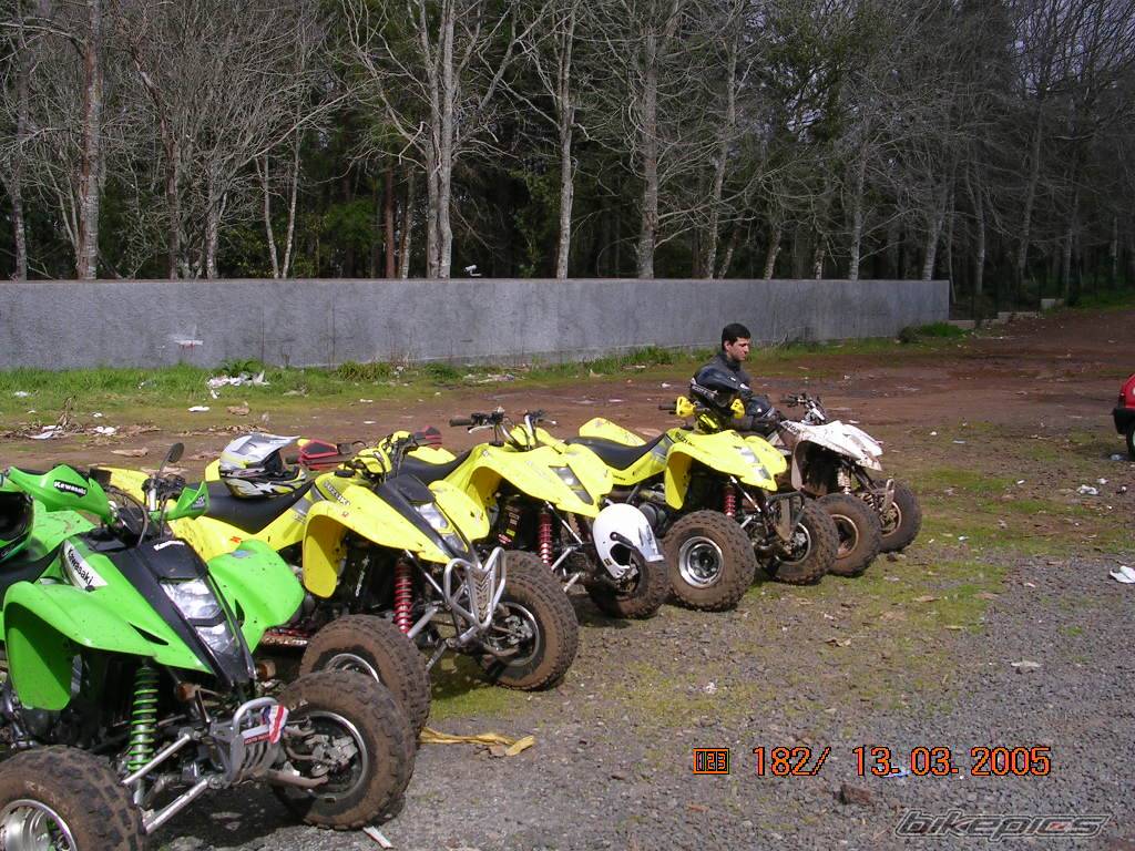 Photo 314713