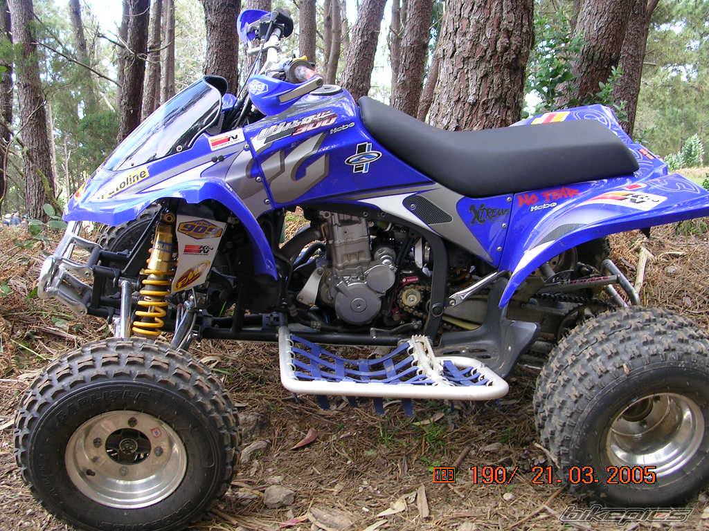 Photo 314721
