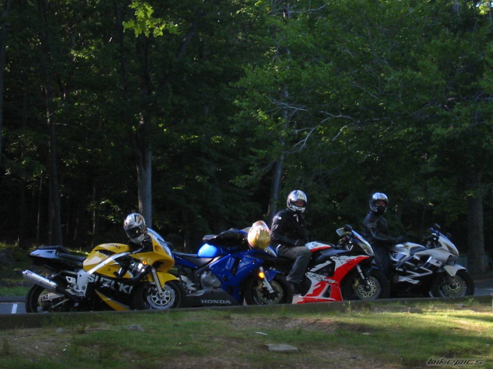 Photo 314777