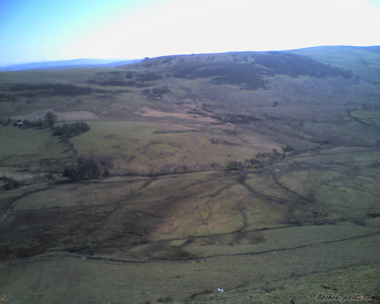 Photo 314794