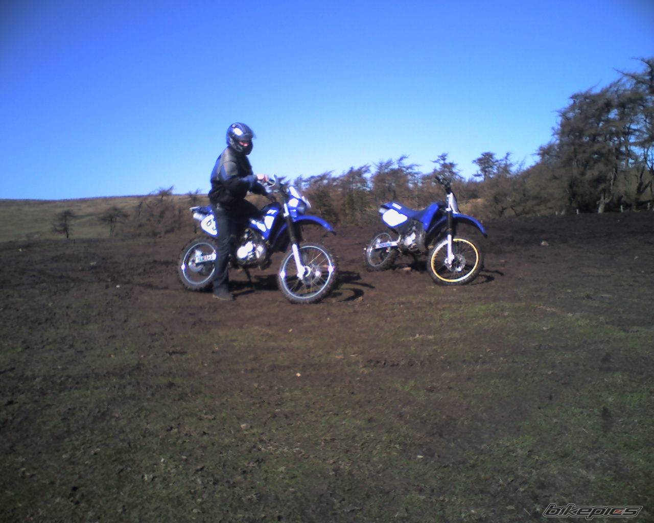 Photo 314796