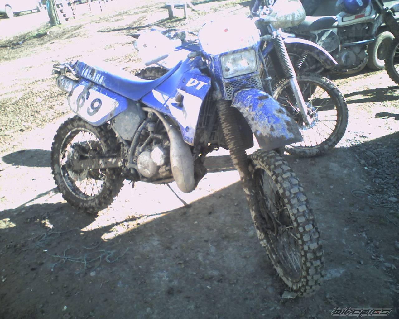 Photo 314801