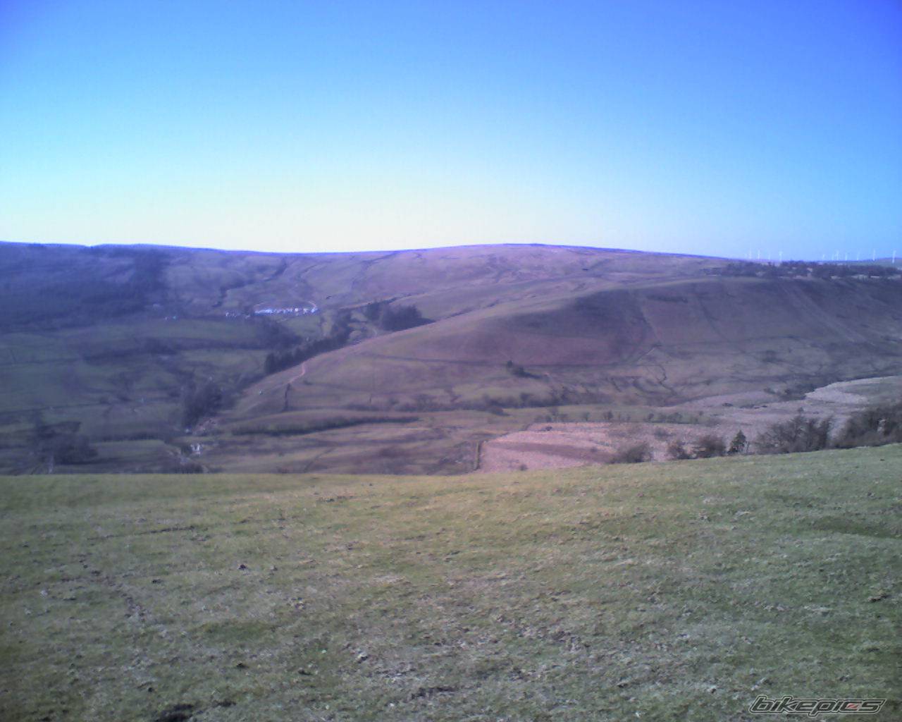 Photo 314805