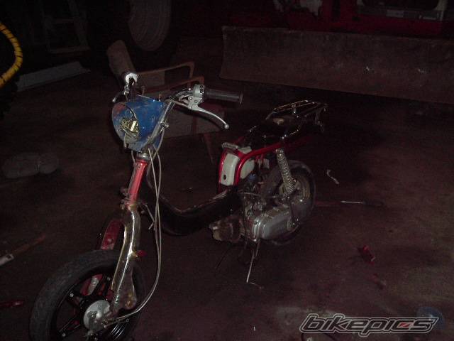 Photo 314896