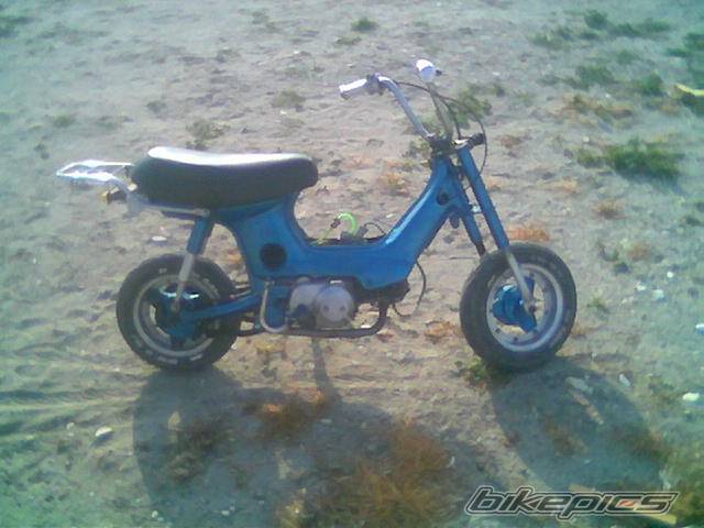 Photo 314929