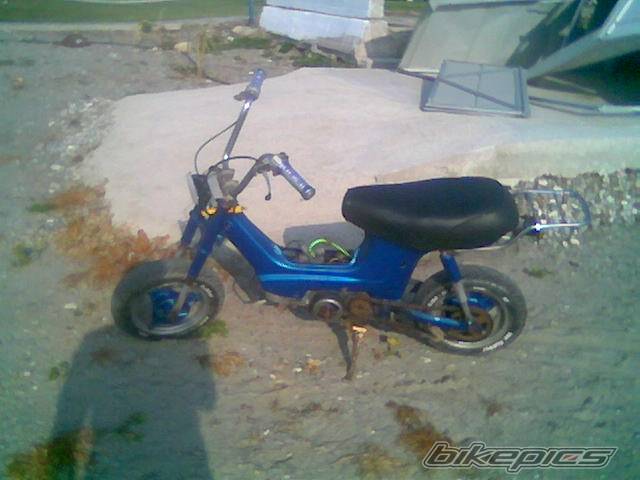 Photo 314930