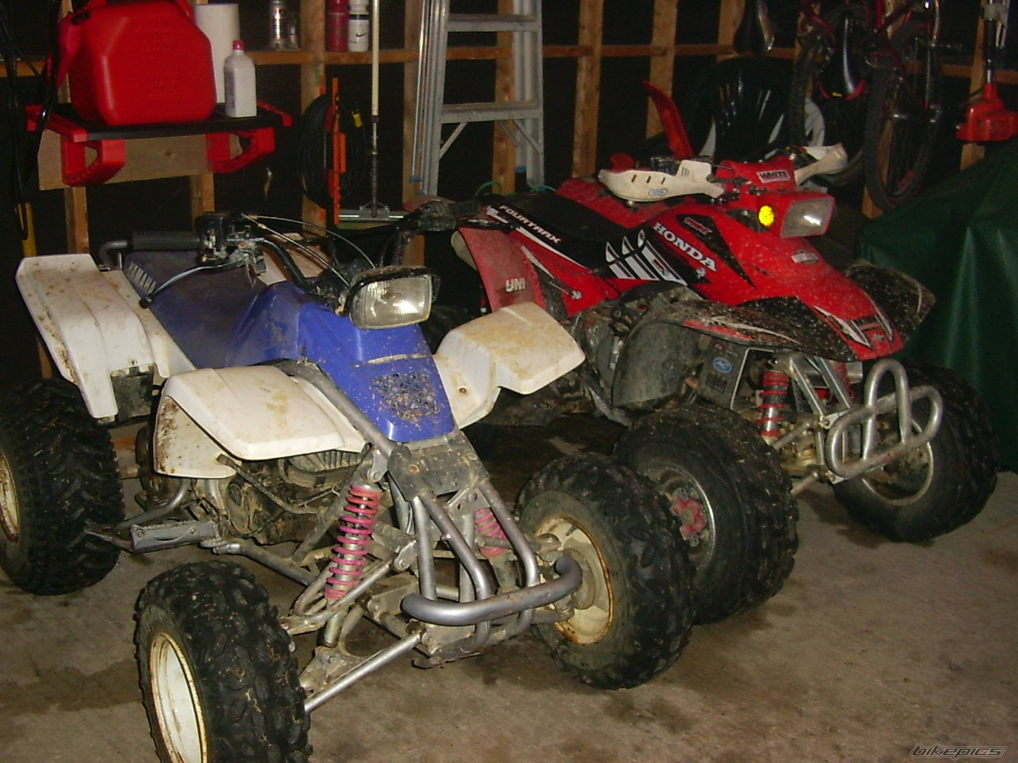 Photo 314957