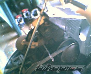 Bike Photo 314981