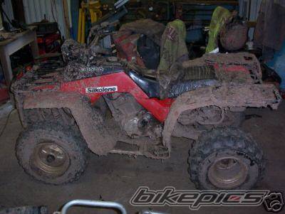 Photo 315223