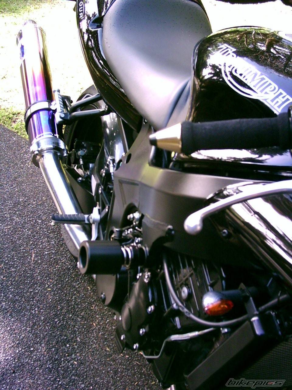Photo 315225