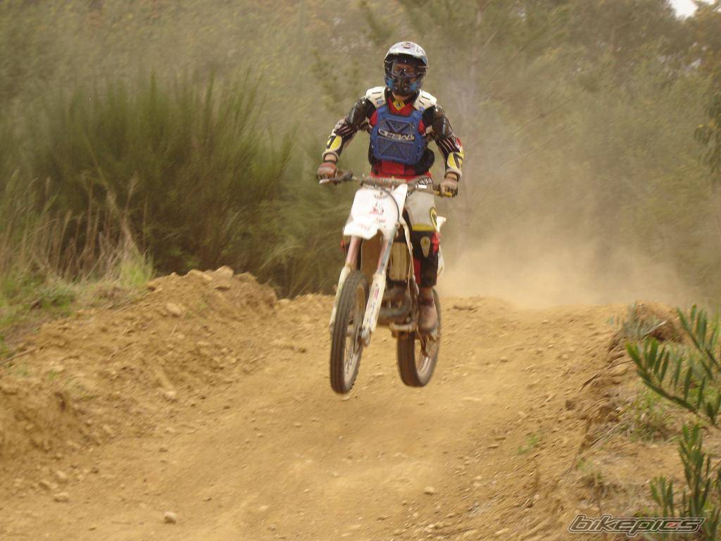 Bike Photo 315238