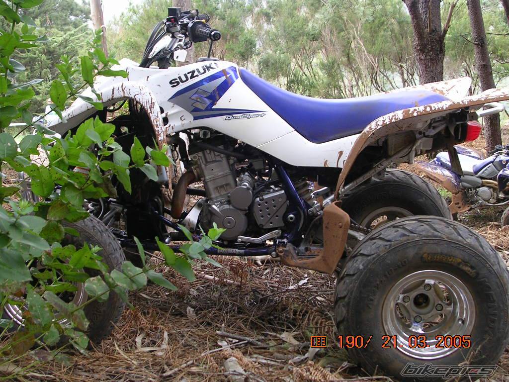 Photo 315266