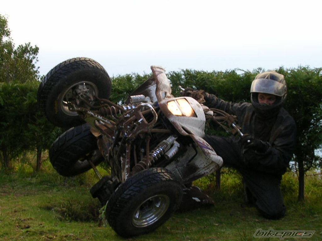 Bike Photo 315272