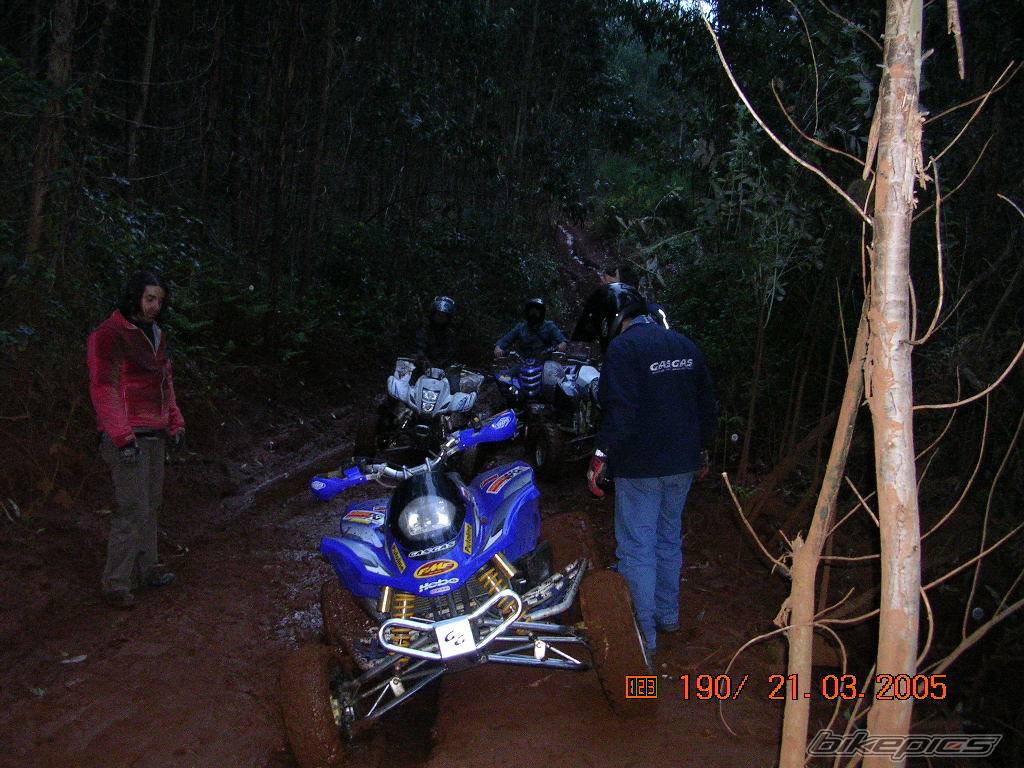 Photo 315298