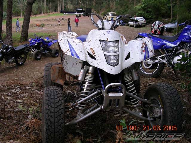 Photo 315315