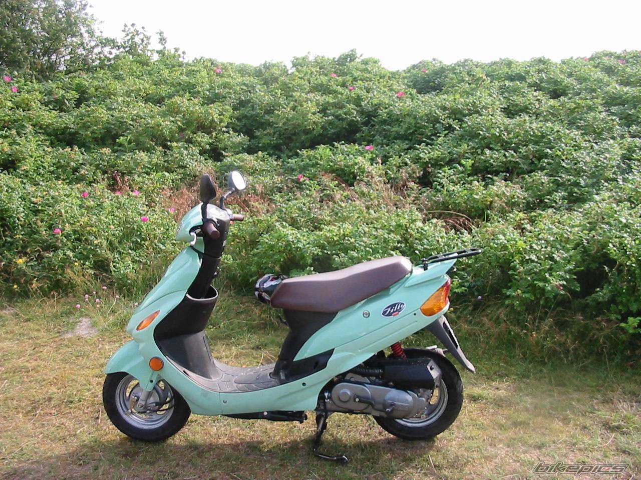 Bike Photo 315347